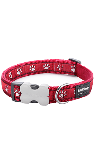 Red Dingo Desert Paw Red Dog Collar