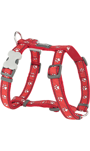 Red Dingo Desert Paw Red Dog Harness