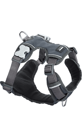 Red Dingo Padded Grey Dog Harness