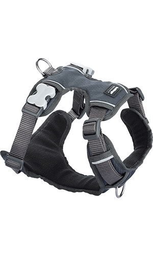 Red Dingo Padded Grey Dog Harness