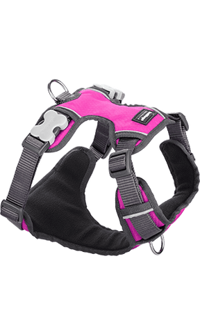 Red Dingo Padded Hot Pink Dog Harness