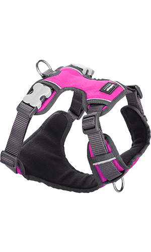 Red Dingo Padded Hot Pink Dog Harness