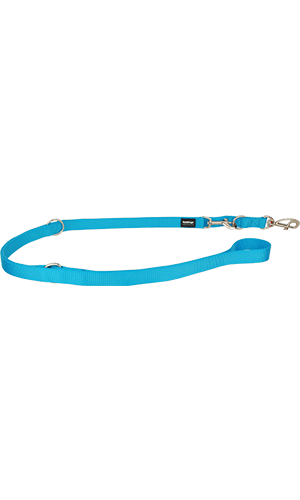 Red Dingo Turquoise Training Dog Lead