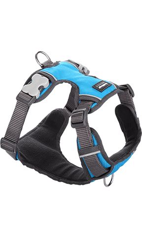 Red Dingo Padded Turquoise Dog Harness