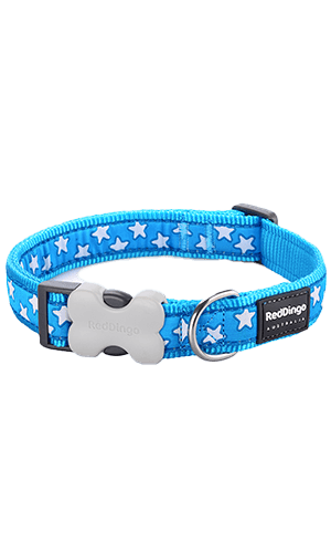 Red Dingo White Star Turquoise Dog Collar