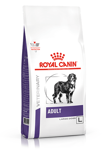 ROYAL CANIN - Adult Large Dry Dog Food