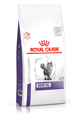 ROYAL CANIN Dental Adult Dry Cat Food