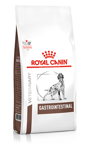 ROYAL CANIN Gastrointestinal Adult Dry Dog Food