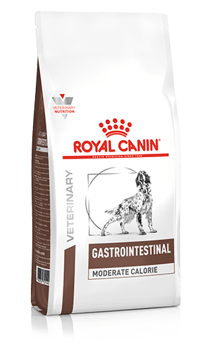 ROYAL CANIN Gastrointestinal Moderate Calorie Adult Dry Dog Food