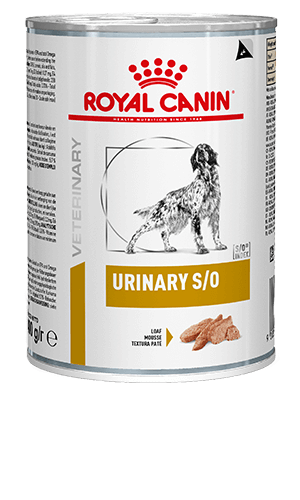 ROYAL CANIN® Urinary S/O Loaf Adult Wet Dog Food