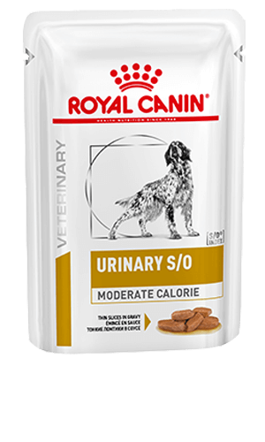 ROYAL CANIN® Canine Urinary S/O Moderate Calorie Thin Slices in Gravy Adult Wet Dog Food