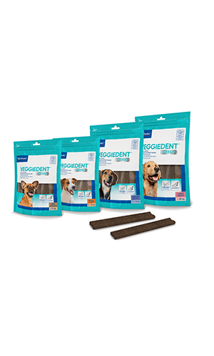 Veggiedent FR3SH Dental Chews for Dogs