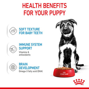 ROYAL CANIN SIZE HEALTH NUTRITION PUPPY - MAXI - Chunks in gravy